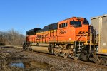 BNSF 8594 Roster shot